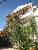Apartment Graciela