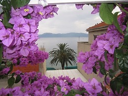 Apartment Graciela