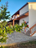 Apartments Den