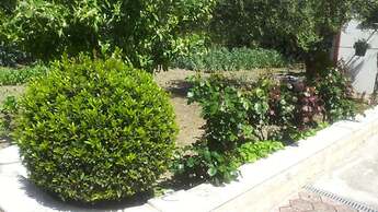 Apartments Bozana