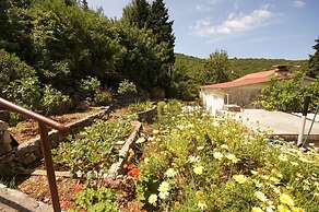 House Paulo1