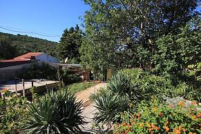 House Paulo1