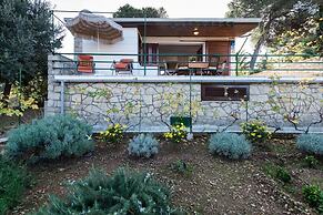 House Viki
