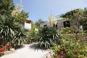 House Paulo3