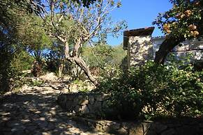House Paulo3