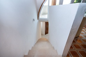 Apartments Marko