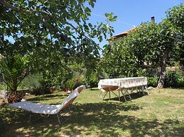 Apartments Zvone