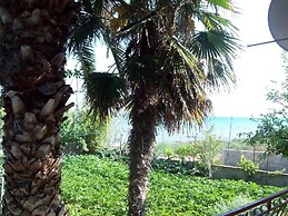 Apartments Teo