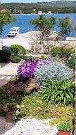 Apartments Grbac Veli Rat-seaside