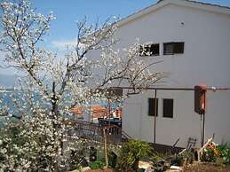 Apartments Petar