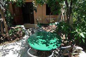 Apartments Brti