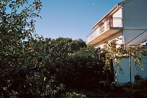 Apartments Dragan