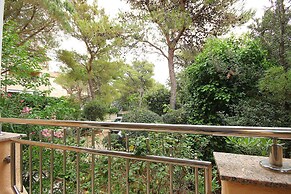 Apartments Dino