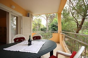 Apartments Dino