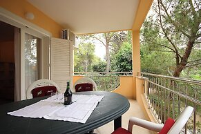 Apartments Dino