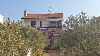 Apartment Orco