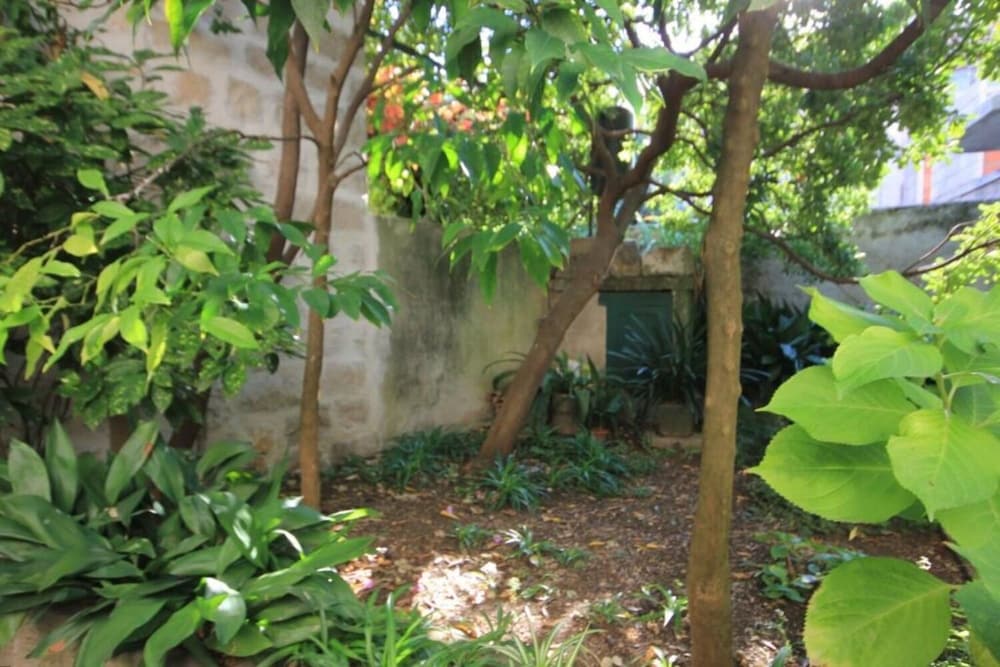 House Korta