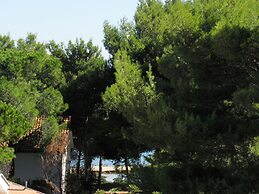Apartments Vink
