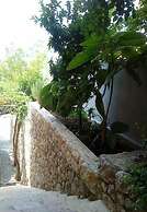 Apartments Bor