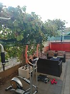 Apartments Antonija