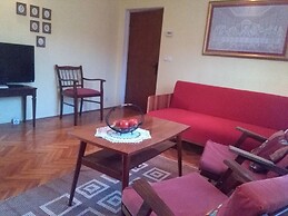 Apartment Damir