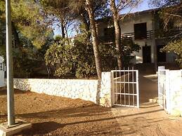 Apartments Ivan1