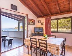 House Vinkli