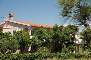 Apartments Ana