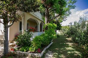 Apartments Ana