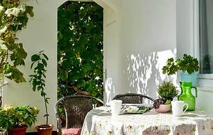 Apartments Paz