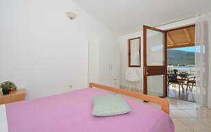 Apartments Paz