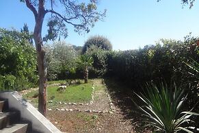 Apartment Andri