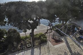Apartment Petar