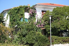 Apartment Petar