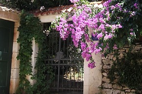 House Davor