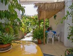 Apartment Rosa