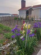 Apartments Adriatic