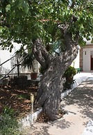 Apartments Tonci