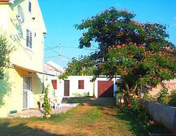 Apartments Mir