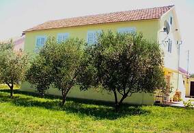 Apartments Mir