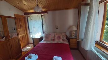 Apartment Boto