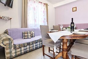 Apartments Vinx