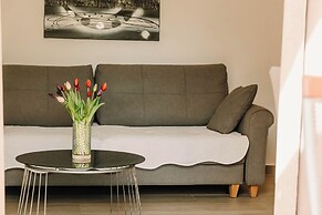 Apartments Darko