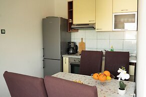 Apartments Darko