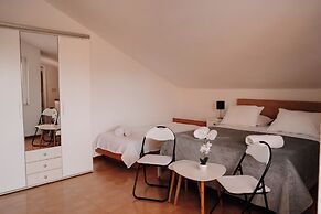 Apartments Darko