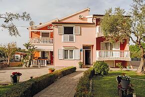 Apartments Darko