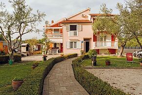 Apartments Darko