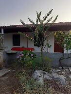 House Senka1