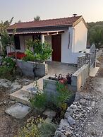 House Senka1