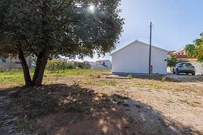 House Branka